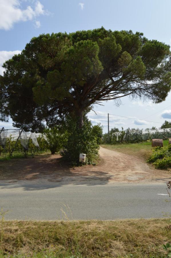 Gite Rural De Caractere Guérin Dış mekan fotoğraf